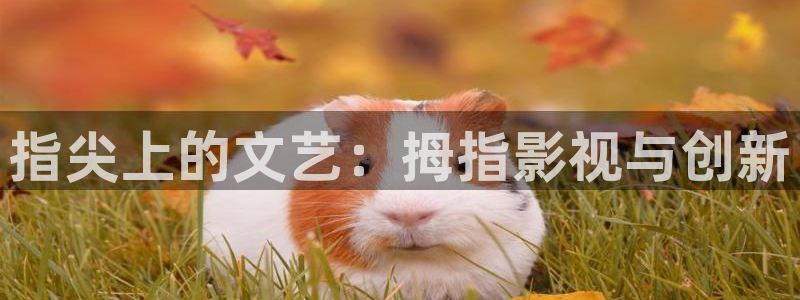 酷客影院善良的儿媳妇主演是谁