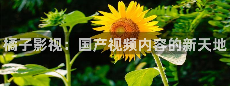 酷客影院旧版入口