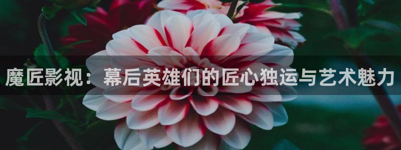 酷客影院在线观看免费版