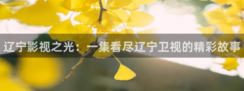 酷客影院最新电影