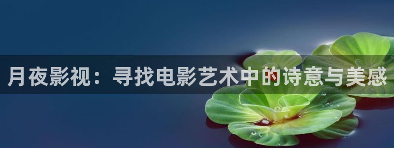 酷客影院hd免费观看