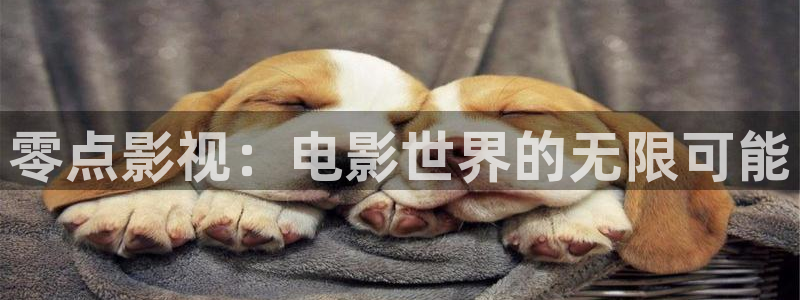 酷客影院在线观看免费