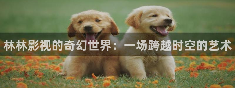 酷客影视在线观看免费高清电视剧