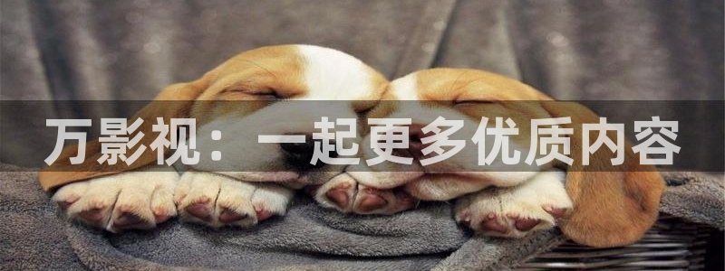 酷客影院手机版在线观看
