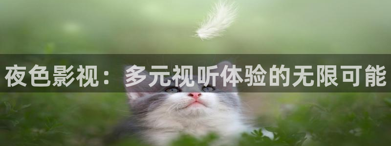 酷客影视免费