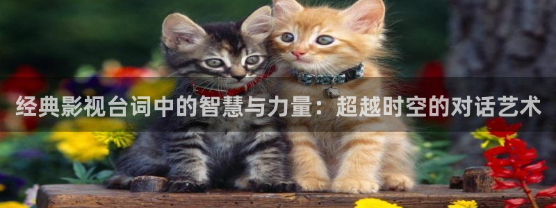 酷客影院旧版入口：经典影视台词中的智慧与力量：超越时空的对话艺术