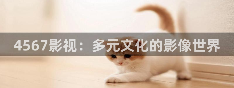 酷客影院怎么下载：4567影视：多元文化的影像世界